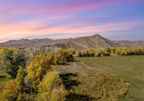 The Path to Becoming a Recognized Artist in Bellevue, ID